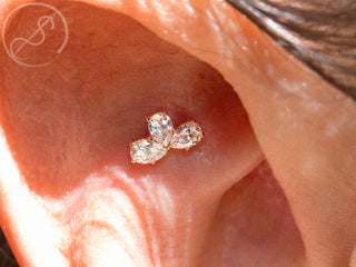 Pear fan threadless end in rose gold