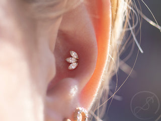 Marquise fan threadless end in white gold