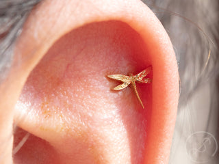 Dragonfly threadless end in white gold
