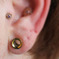 Expanded Ears Stretched Ears – Piercing Experience