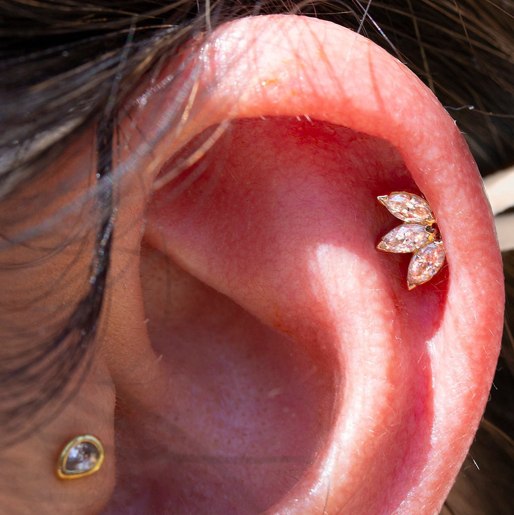 Helix with rose gold marquise fan