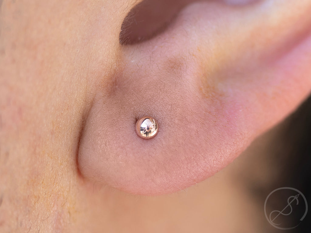 Lobe piercing w/ 3mm rose gold dome