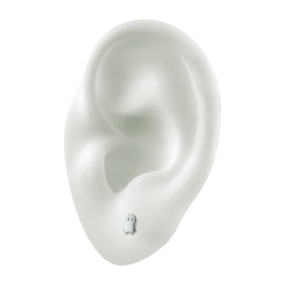 Ghost threadless end in titanium