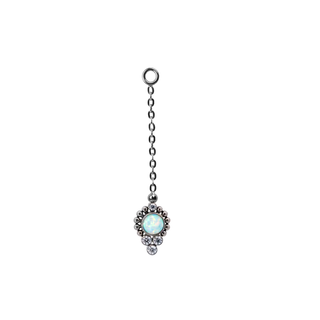"Charm" charm with 2.5mm gems and tribezel accent on a 16.4mm chain in titanium