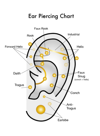 earChart-450x615.png