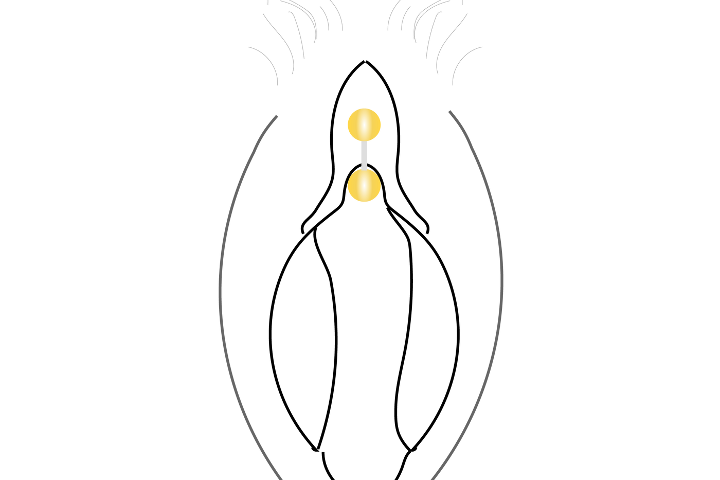 Vulva/Female Genital Piercings – Piercing Experience