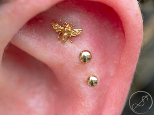 Threadless bee end in 18k yellow gold